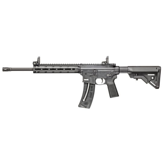 S&W M&P 15-22